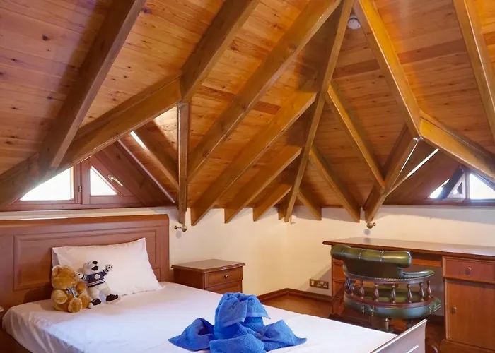 别墅 Beachfront 利马索尔